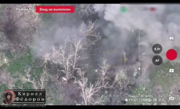 ���������� ������������ "�������" � ����������� �������