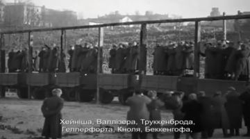 Евгений Лисицын: Всегда стоит помнить - настоящая Победа наступает тогда, когда нацистские преступники отвечают за всё по полной