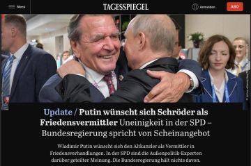 Tagesspiegel: Берлин отверг Шрёдера как посредника, но в СДПГ предложением Путина заинтересовались