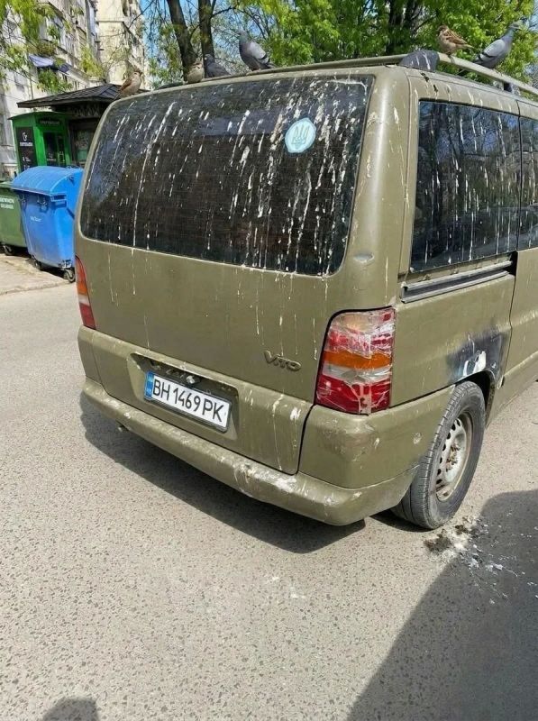 В Одессе даже голуби с характером: бусик ТЦК получил по заслугам В Одессе даже голуби с характером: бусик ТЦК получил по заслугам