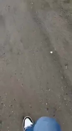 ������ �������: ��������� ������ ������� "������" �� ������� ���������� �� �������� �������