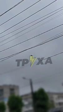 ���������� ������ ������������ ������������� ����� ������-��������� ���� "������" �� ������� ����������� �������, �������� ���������� ���������
