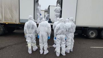 Александр Коц: Обмен телами, который обнуляет западные сводки