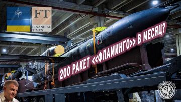 Два майора: 200 ракет «Фламинго» в месяц и блокада Балтийского моря: интервью с основателем Fire Point