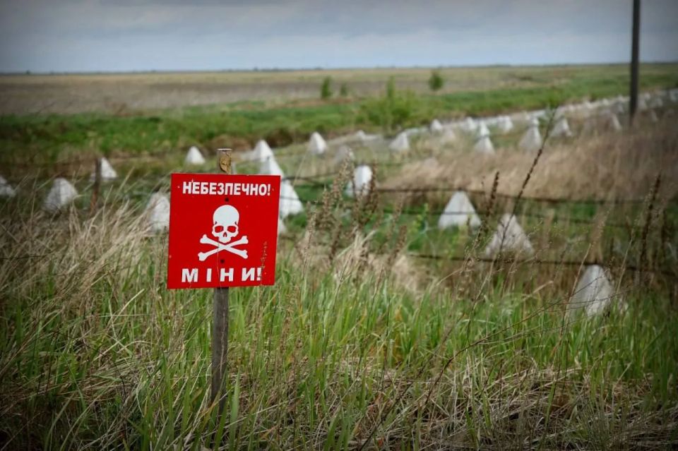 ВСУ привели войска на границе с Беларусью в полную боеготовность ВСУ привели войска на границе с Беларусью в полную боеготовность
