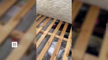 Силовики задержали 37 россиян, совершивших поджоги объектов транспорта и ТЭК по указанию мошенников, сообщили в ФСБ России