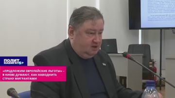 «Предложим европейские льготы – и не возражайте!» – в Киеве думают, как быстрее наводнить страну любыми мигрантами