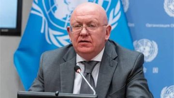 Ответ России будет неизбежен в случае запуска БПЛА с территории стран Балтии — постпред РФ при ООН Небензя