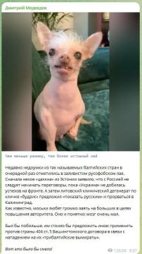 Медведев призвал НАТО атаковать Украину