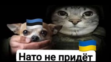 Таллин не разрешал Украине использовать свое воздушное пространство, заявили в эстонском Минобороны