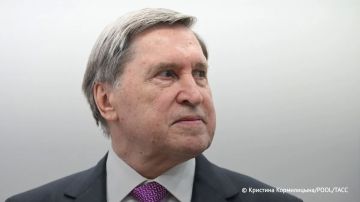 Путин и Си Цзиньпин обсудят за чаем Украину, Иран, отношения с США, сообщил Ушаков