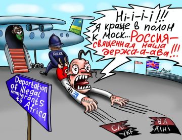 Депортация свиней на мясокомбинат приближается