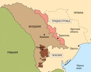 МИД объяснил указ Путина о приеме в гражданство жителей Приднестровья