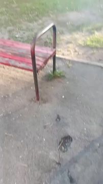 "Что, кроссик мотнем, пацаны?"