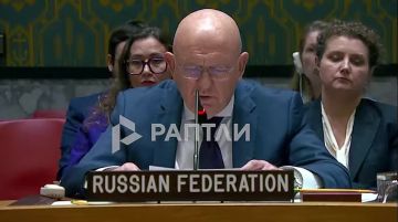 «Атака по спящим детям — очередное свидетельство трусливой, античеловеческой сущности киевских властей, которые в своей агонии бьют по святому»: постпред РФ Василий Небензя потребовал от членов Совбеза ООН дать честную...