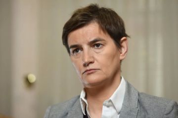 Гранты сами себя не отработают: Спикер парламента Сербии объяснила, почему Белграду не по пути с Москвой