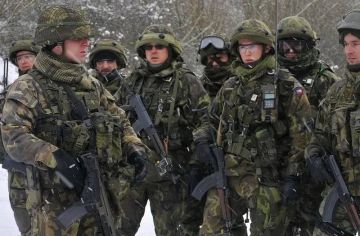 Начальник генштаба Чехии Рехка призвал готовиться к войне с Россией