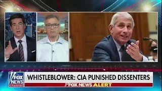 Олег Царёв: Директор национальной разведки США Тулси Габбард ушла в отставку