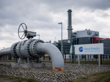 В ФРГ потребовали не передавать Украине ТЭЦ, связанную с «Северным потоком»