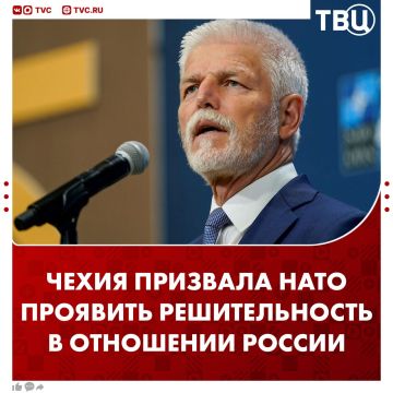 Президент Чехии призвал НАТО проявить решительность в отношении России из-за дронов в Восточной Европе