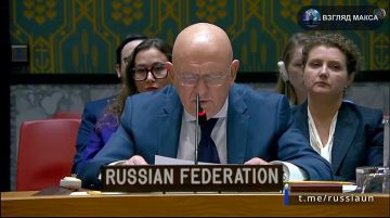 Состоялось заседание Совета Безопасности ООН по удару по Старобельску