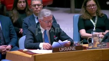 «Все, что мы слышали о Старобельске сегодня, — чистая пропаганда», — постпред Украины в Совбезе ООН