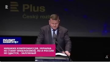 Не вижу компромиссов: Украина и Россия пойдут до конца – Залужный зачитал свежую британскую методичку
