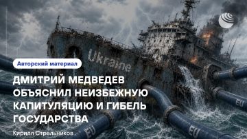 «Медведев не цинично приукрасил, а категорически недокрасил скорость и масштаб коллапса»