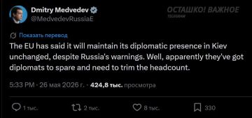 Медведев не исключил гибель иностранных дипломатов в Киеве при ударах возмездия