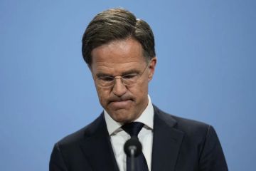����� �������� �� ��������� �� ���� �� ����� ������� �� �������