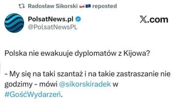 Михаил Онуфриенко: Глава МИД Польши Сикорский – об эвакуации дипломатов из Киева: Мы не поддадимся на такой шантаж или запугивание