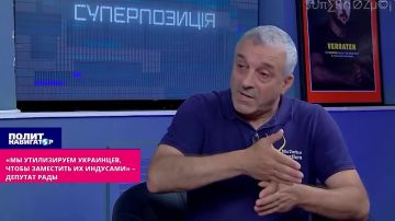 «Мы утилизируем украинцев, чтобы заместить их индусами» – депутат Рады