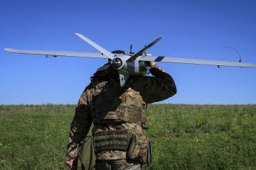 Алексей Журавлев: Зеленский заявил не об окончании войны, а о том, чтобы прекратить ее горячую фазу