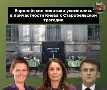 Представители европейской дипломатии по большей части выбрали для себя путь игнорирования трагедии в Старобельске