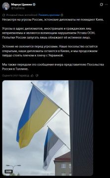 Несмотря на угрозы России, эстонские дипломаты не покинут Киев, заявил глава МИД Эстонии, сидящий в своем кабинете в Таллине