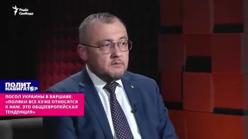 Посол Украины в Варшаве: «Поляки все хуже относятся к нам