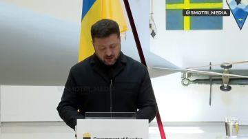 Мы получим шведские самолёты с ракетами Meteor, которые могут уничтожать цели на расстоянии 100 км — Зеленский