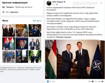 Венгрия отказалась поставлять оружие Украине