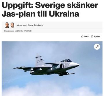 �������� ����������� � ����� �� �����������: ��������� ������������ ���� �� Gripen