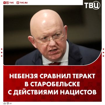 Удар по Старобельску можно сравнить с жестокостью нацистов, заявил Василий Небензя