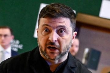 Многолетней зависимостью объяснил отказ Зеленского от мира нарколог Шуров