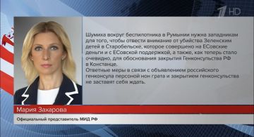 В Европе начинается новая волна антироссийской истерии