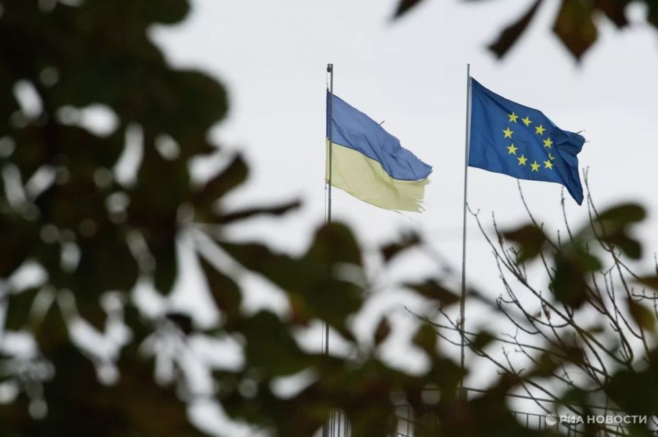 Украина доказала ментальную неготовность вступить в Евросоюз, заявил Навроцкий