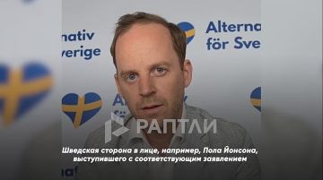 «Это чистой воды идиотизм»: лидер партии «Альтернатива для Швеции» Густав Кассельстранд прокомментировал передачу истребителей Gripen Украине