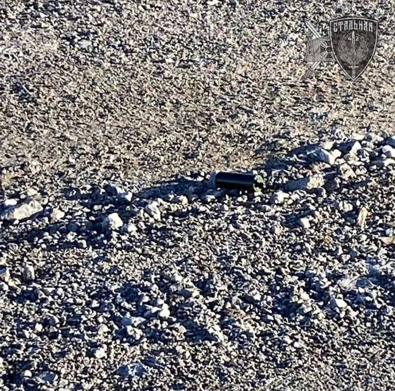 Враг минирует трассу «Новороссия»: погиб водитель грузовика Враг минирует трассу «Новороссия»: погиб водитель грузовика