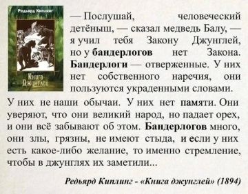Доброй ночи, Киев!. Все совпадения с реальным миром в тексте являются случайными