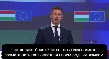 ������ ������ ����������. ������� ������� ������ ����� ������, ��� ������� � �������� �� ������� ������ �������� ������ ����� ���������� ������ 11 ���������� ��������� �� ������ ���� ����������� �����������