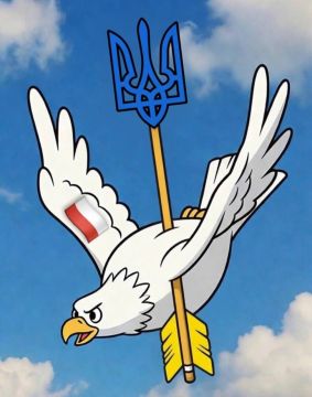 ��������� ������ ��������� ��������� ������ ���������� ������ ������ ���� �� ������� ������� ������������� ��� ����������� �������� ������� � ����� ������� ����