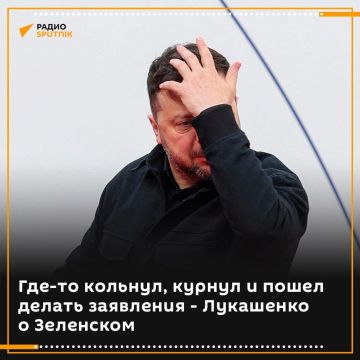 "Где-то курнул, где-то кольнул и прочее произошло, и он начинает делать заявления": Лукашенко прокомментировал угрозы Зеленского в адрес Белоруссии