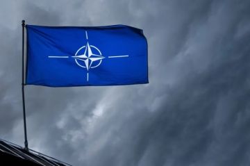 Украина и НАТО провоцируют эскалацию